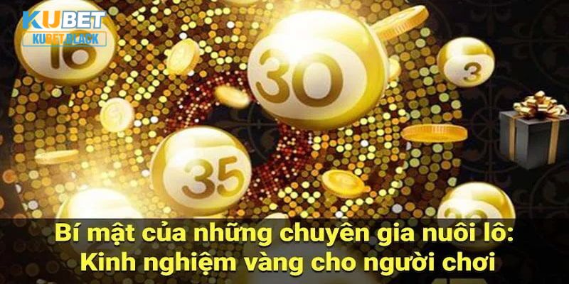 Chiến lược nuôi lô mang đến nhiều cơ hội thực tế cho người chơi